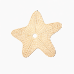 Rotan wanddecoratie Zeester